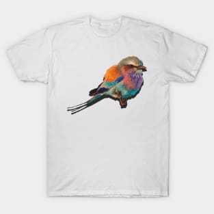 colorful Bird T-Shirt